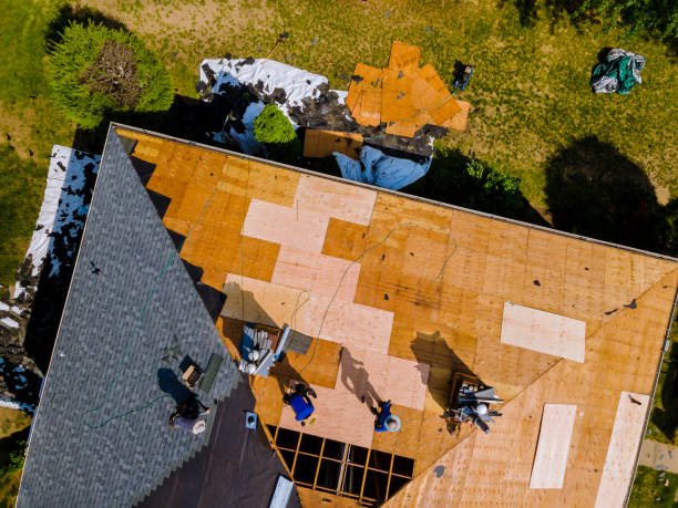 Best Local Roofing Companies  in Canon, GA
