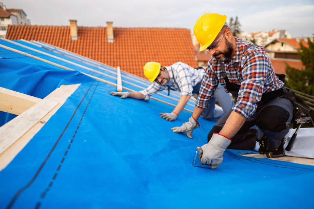 Professional Roofing Contractor in Canon, GA